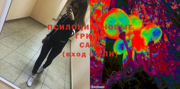 спиды Алексеевка
