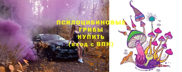 ПСИЛОЦИБИНОВЫЕ ГРИБЫ Сосновый Бор