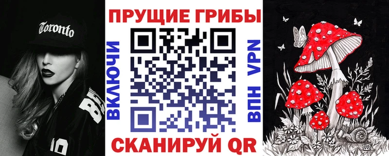 Галлюциногенные грибы Psilocybine cubensis  Балабаново 
