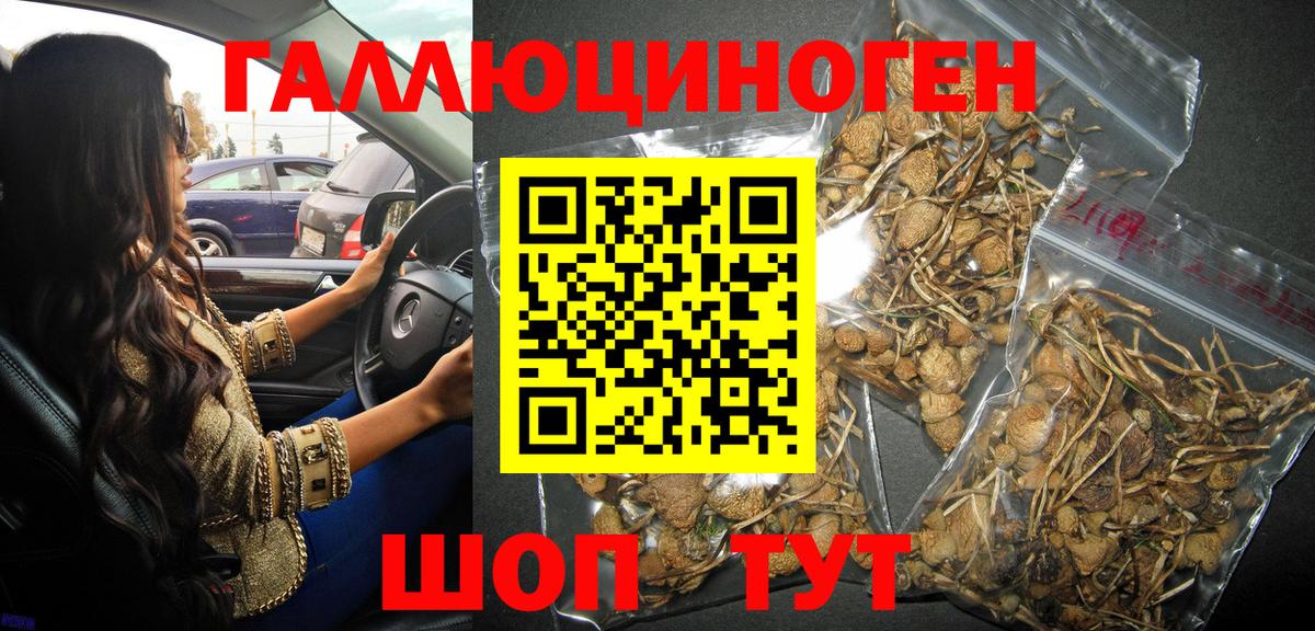 Псилоцибиновые грибы прущие грибы Балабаново