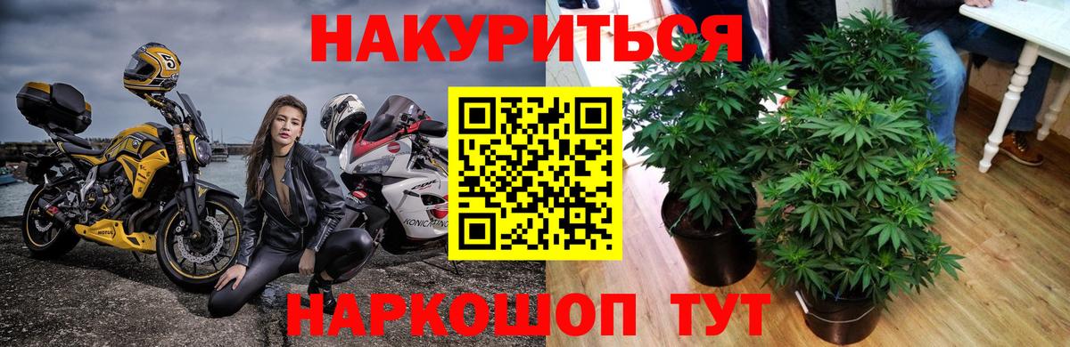 Марихуана планчик Балабаново